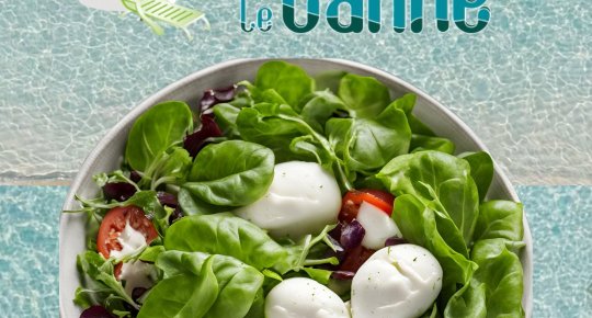 SALAT MIT MOZZARELLE